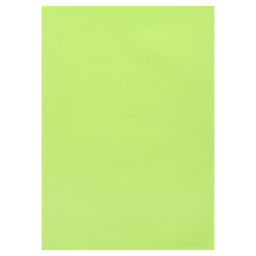 Бумага цветная Calligrata, А4, 50 листов, зелёная, неоновая, 80 г/м²