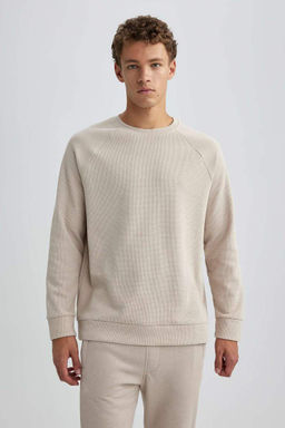 Толстовка стандартного кроя с круглым вырезом и вафельным узором - Defacto фото 5