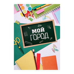 Папка школьная на кольцах «Портфолио школьника», 10 листов-разделителей, 24.5×32 см