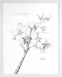 Фоторамка 15х21 / ZR208B-19 /уп10 - Галеонтрейд фото 2