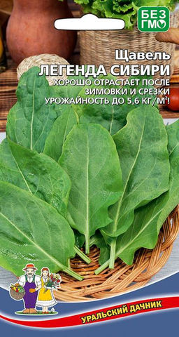 Щавель ЛЕГЕНДА СИБИРИ  Хорошо отрастает после зимовки и срезки! Урожайность до 5,6 кг/кв.м!