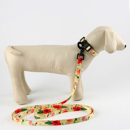 Набор Цветы, застёжка - фастекс, поводок 2 м и ошейник 28-46 см - Пушистое счастье фото 9