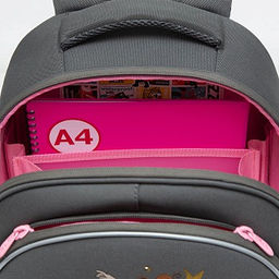 RAz-286-6 Рюкзак школьный