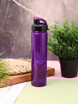 Бутылка "Classic style", purple (500 ml)