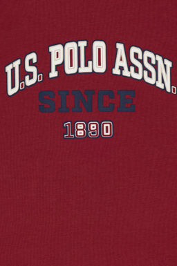 Erkek _ocuk Vi_ne Ti__rt Sepette S_rpriz _ndirim - U.s. polo assn фото 3