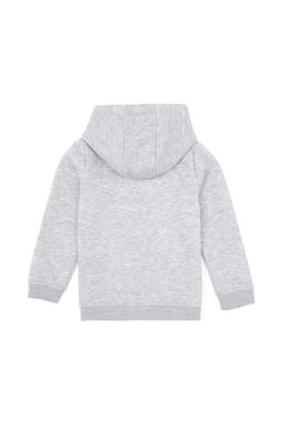 Толстовка на молнии U.S. Polo Assn светло-серая из хлопка