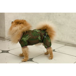 Комбинезон для животных, без подклада, XL (ДС 32-34, ОШ 32, ОГ 46-48 см), камуфляж - Пижон фото 11