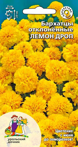 Бархатцы ЛЕМОН ДРОП Тип отклонённые махровые