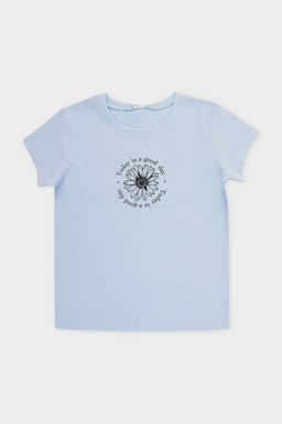 Crockid _ КП 302763/голубое стекло фуфайка для дев