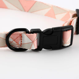 Набор Ромбы, застёжка - фастекс, поводок 2 м и ошейник 28-46 см - Пушистое счастье фото 8