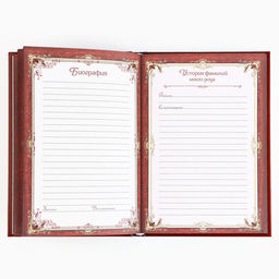 Родословная книга новогодняя «Дед Мороз» 17×2×23.7 см