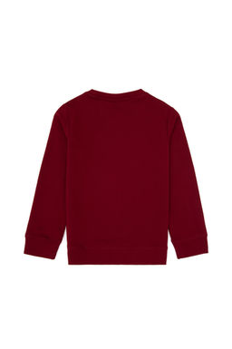 Erkek _ocuk Bordo Bisiklet Yaka Sweatshirt Sepette S_rpriz _ndirim - U.s. polo assn фото 2