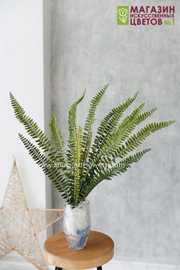 118 Папоротник 68 см - Без тм фото 2