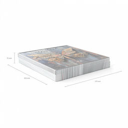 Цена за 5 шт. Тетрадь общая ученическая ErichKrause Iron Wings, 48 листов, клетка, металлизированная ламинация+твин-лак_MIX-PACK  фото 11