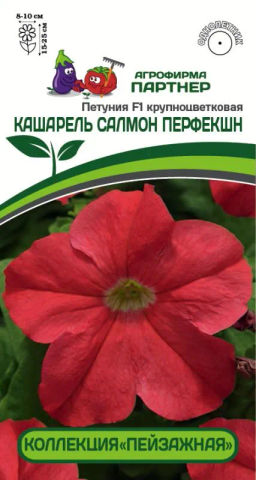 Петуния Кашарель Салмон Перфекшн крупноцветковая компактная