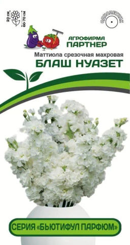 Маттиола срезочная махровая Бьютифул Парфюм Блаш Нуазет