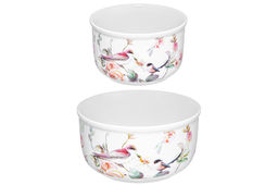 Набор 2 салатников 500 мл 13,5*13,5*7 см + 300 мл 10,5*10,5*6,5 см Певчие птички с крышк. NEW BONE - Elan gallery фото 6