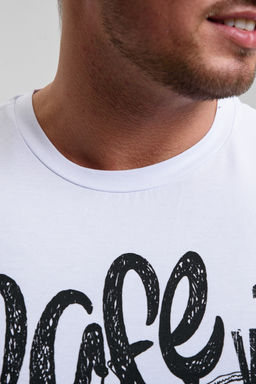 8534 Футболка с длинным рукавом мужская