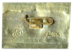 Значок Петродворец