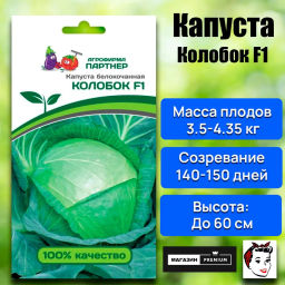 Капуста белокочанная позднеспелая Колобок - Партнер фото 6