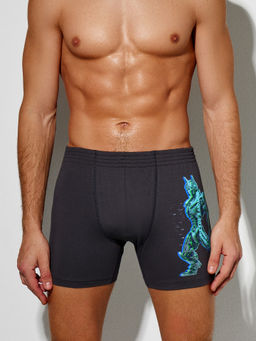 Цена за 2 штуки! Трусы боксеры мужские удлиненные серые с принтом обсидиан +печать 411143 Цена за 2 штуки! Трусы боксеры мужские удлиненные серые с принтом обсидиан +печать 411143