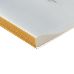 Папка формат А4, с 60 прозрачными файлами, Река МИКС Река - Calligrata фото 7