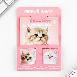 Цена за 2 шт. Набор блокнот А6, 32 листа, наклейки, магнитные закладки «Милый котенок»