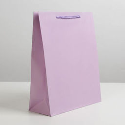 Пакет ламинированный Сиреневый, ML 21 х 25 х 8 см - Доступные радости фото 2