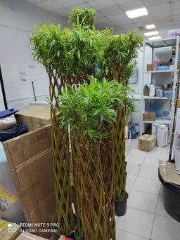 Живое плетёное дерево, высота 100 см - No name фото 2