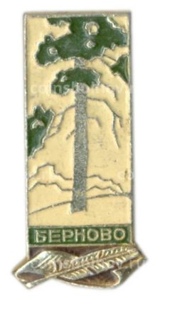 Значок Берново