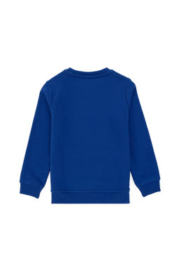 Толстовка Saks Basic для мальчика Неожиданная скидка в корзине - U.s. polo assn фото 4