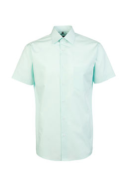 Сорочка мужская короткий рукав GREG 410/309/FR MINT/Z  фото 4