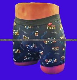 Цена за 8 шт. Трусы мужские боксеры СЛАВА арт. 9210 (9207) XL (46-48) + 2XL (48-50) + 3XL (50-52) + 4XL (52-54) - For you фото 2