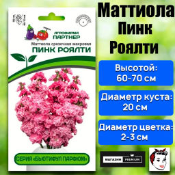 Маттиола срезочная махровая Бьютифул Парфюм Пинк Роялти - Партнер фото 2