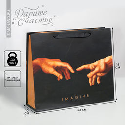 Цена за 2 шт. Пакет подарочный ламинированный, упаковка, Imagine, MS 23×18×10 см
