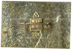 Значок Владимир