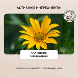 Тоник для лица Био 5 в 1 Сужающий поры, 170 мл / Doctor Taiga / Natura Siberica фото 5