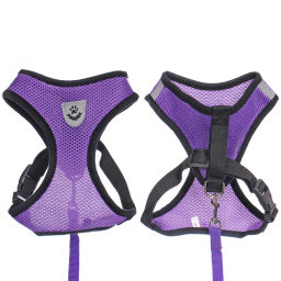 Цена за 2 шт. Шлейка с поводком 118см "Sweet puppy" размер L, цвет фиолетовый