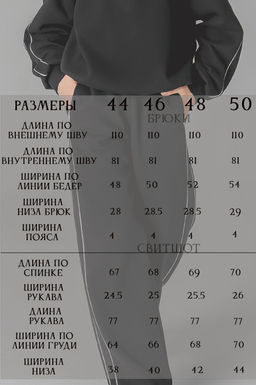 Арт. 2914 Костюм с начесом женский 44-52 (5 шт) Цвет:черный