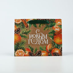 Цена за 2 шт. Пакет подарочный новогодний крафтовый «С Новым годом», MS 18×23×10 см