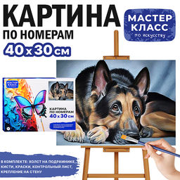 Картина по номерам "Овчарка" 30х40 см.