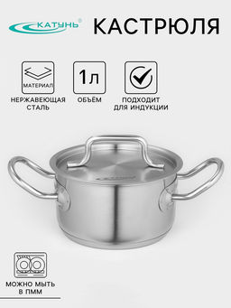 Кастрюля Катунь «Общепит», 1 л, d=14 см, с крышкой, капсульное дно, индукция, нержавеющая сталь, хромированная