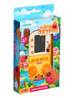 Электронная игра «Капитетрис»