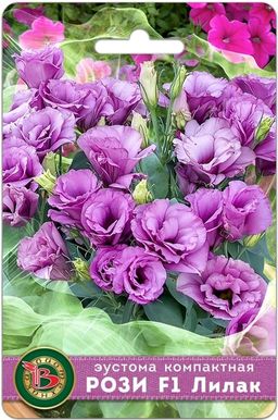 Эустома компактная махровая Рози F1 Лилак Эустома компактная махровая Рози F1 Лилак