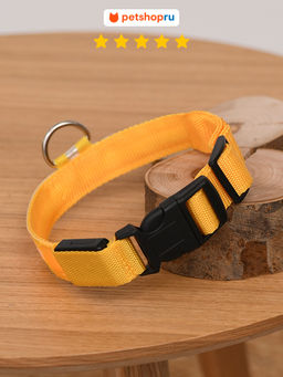 Светодиодный ошейник, XL, цвет в ассортименте PS160