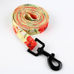 Набор Цветы, застёжка - фастекс, поводок 2 м и ошейник 28-46 см - Пушистое счастье фото 4