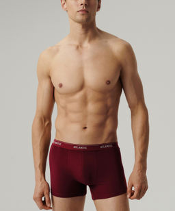 ATLANTIC 2RMH-011 Трусы шорты - набор (2 шт.) графитовый + каберне фото 2