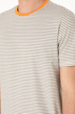 Erkek Regular Fit Bisiklet Yaka Haki _izgili Ti__rt Sepette S_rpriz _ndirim - U.s. polo assn фото 7