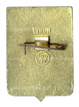 Значок Арзамас