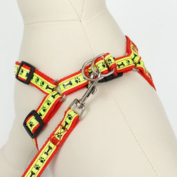 Комплект Косточки и лапки светоотражающий, поводок 120 х 1,5 см, ОГ 36-52 см, красный - Пижон фото 2